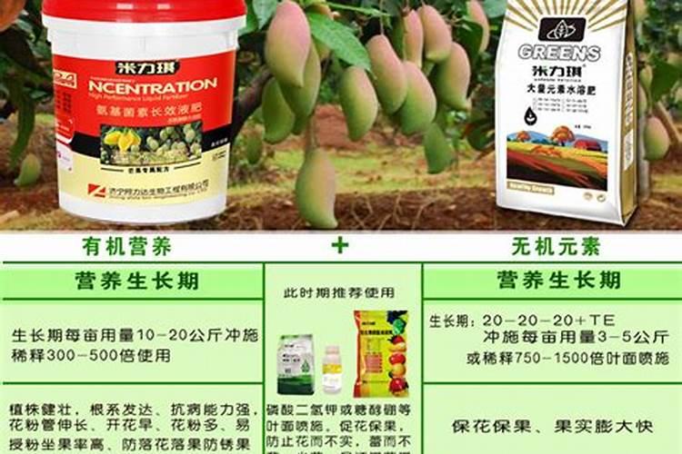 芒果树使用矿源黄腐酸钾的功能和用量？芒果果期能喷施矿源吗