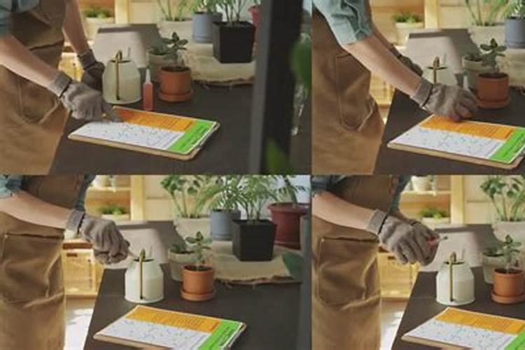 我想问一下花土栽多久能施肥？