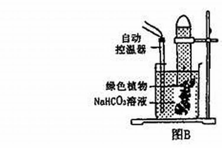 施肥过多光合作用速率降低的原因