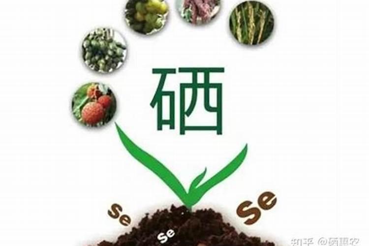 国家对硒缺乏地区有什么措施