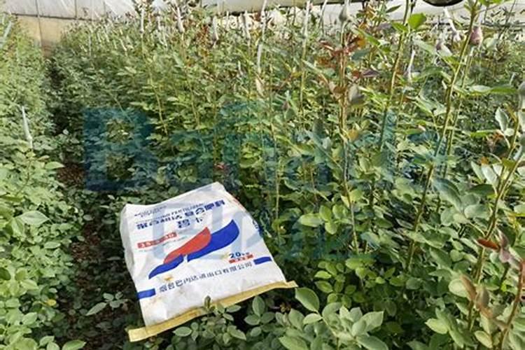 水溶肥与复合肥同时冲施效果怎样