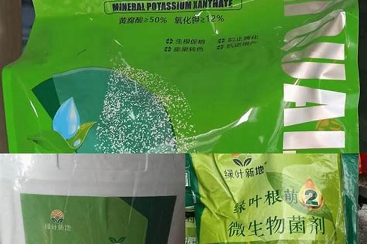 马蹄用什么肥料发苗快广？