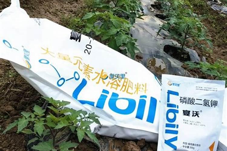 水溶肥哪个品牌好