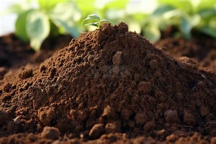 土壤酸碱度改良酸性土壤的方法