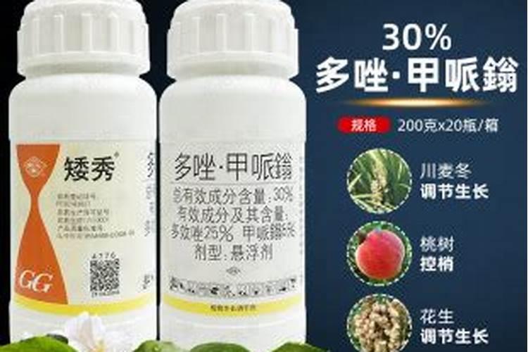 预防倒春寒的超强抗冻抗寒配方是什么？