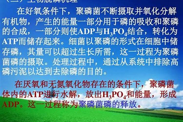 自制磷肥的方法