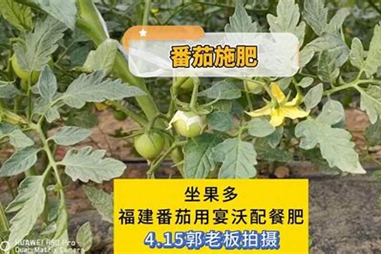 硼肥要怎样使用？