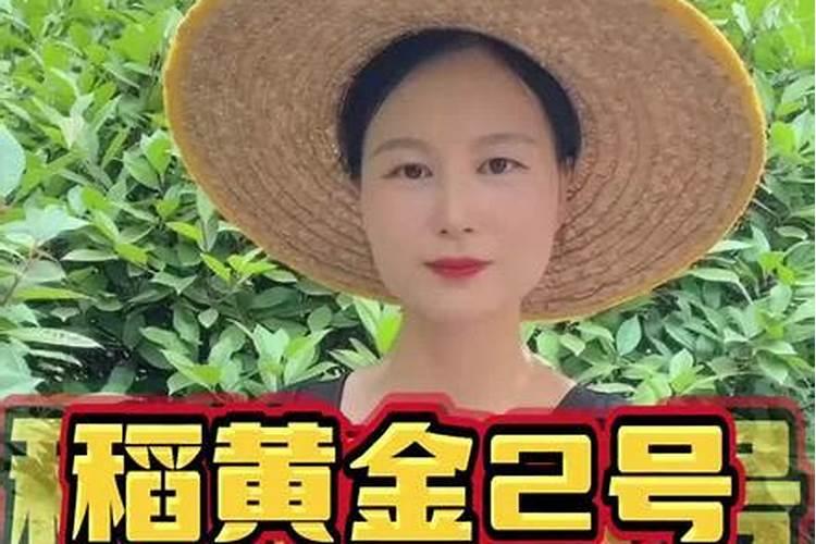 水稻硼肥的作用及使用方法