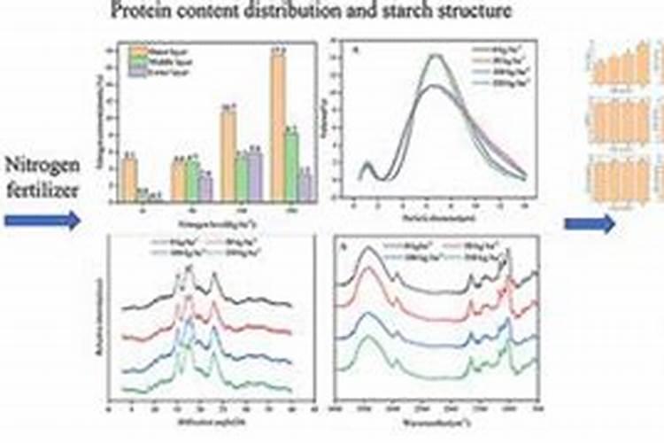尿素蛋白正常值是多少