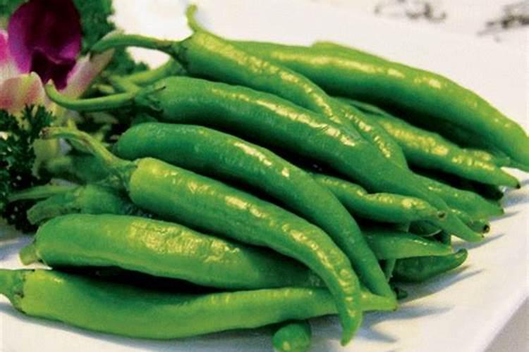 杭椒种植技术与管理