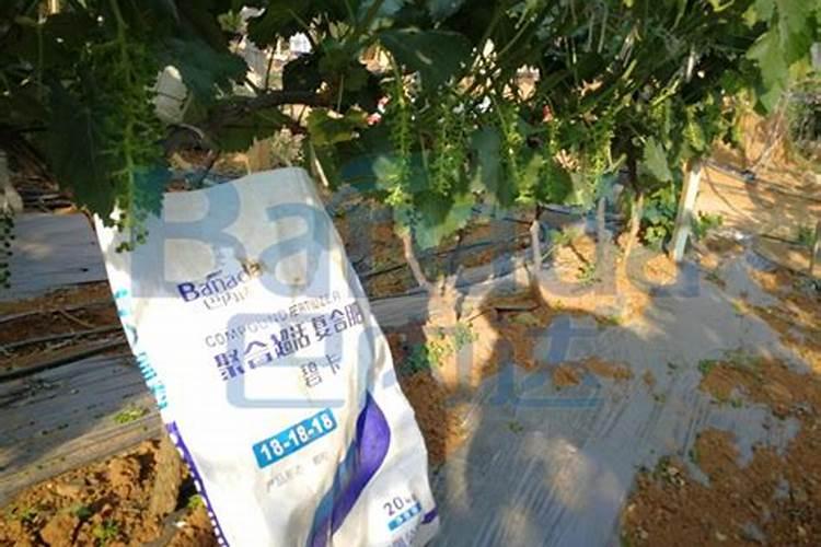 方片钾颗粒水溶肥只能用冲施上吗？可不可以做底肥使用？