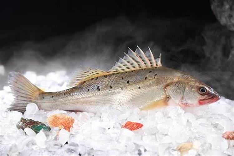 鱼腥、畜肉腥、禽肉腥、海藻类腥、血腥、土腥这些腥味的源头是什么物...