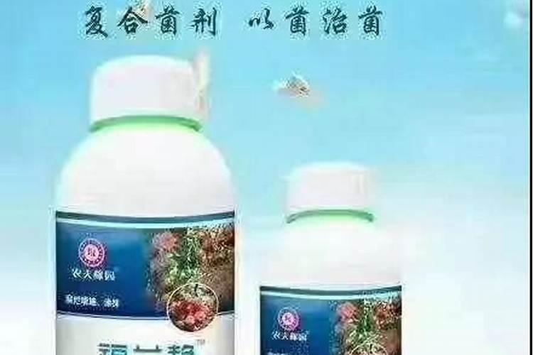 花叶上生了好多白粉虱,怎么治