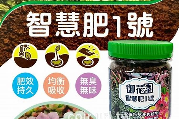多肉肥给别的花使用(多肉植物花肥)