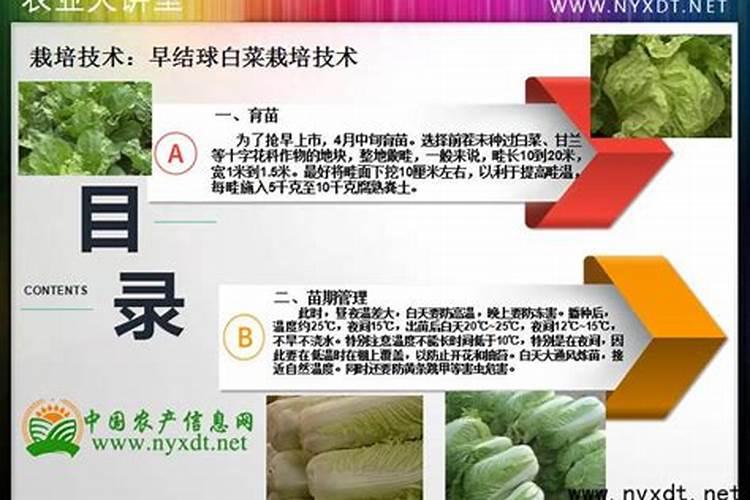 【尚坡】高温闷棚有诀窍,快来看看你闷对了吗？