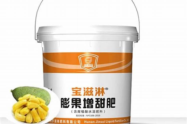 种菠萝蜜施什么肥