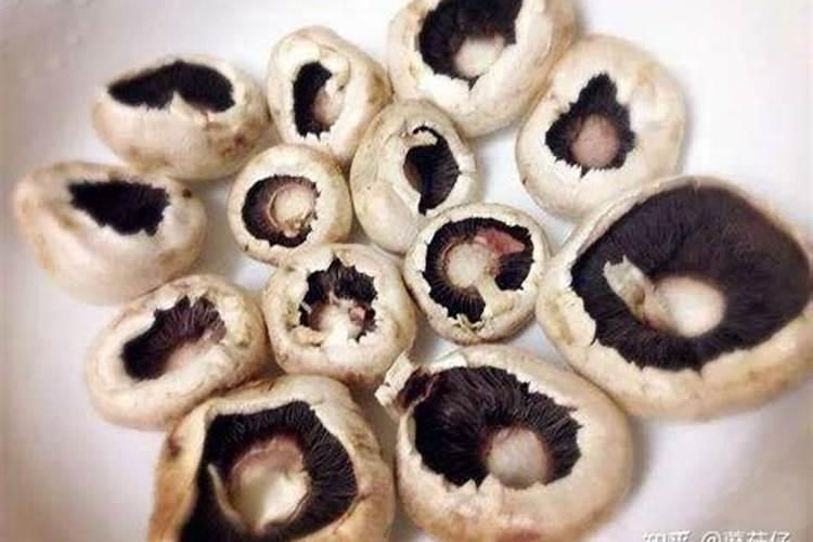 【白芸豆】的功效与作用