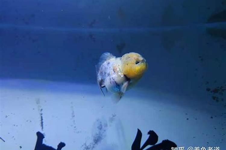 天然的磷钾肥有哪些