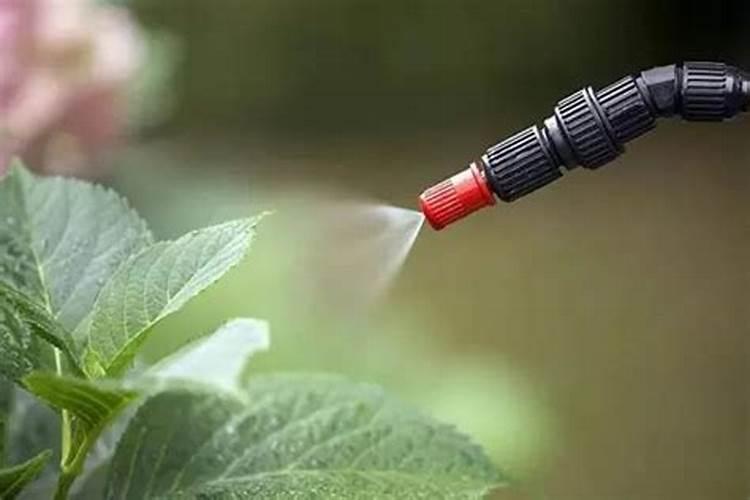 如果用尿素做叶肥的话,兑水的比例大概是多少？