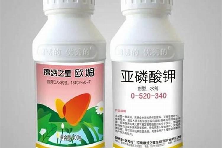 亚磷酸钾怎么样达到控旺效果