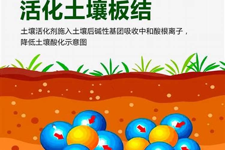 枇杷开花时可以施肥吗