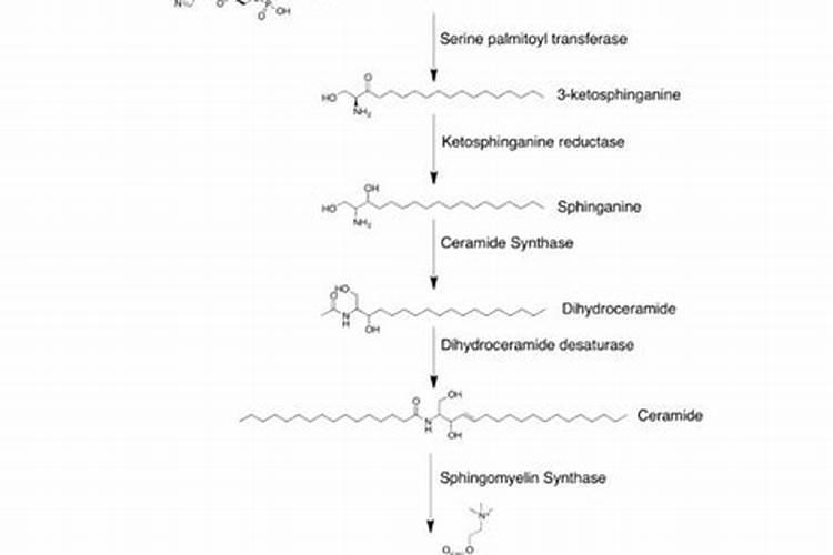 磷肥对果树的作用是什么