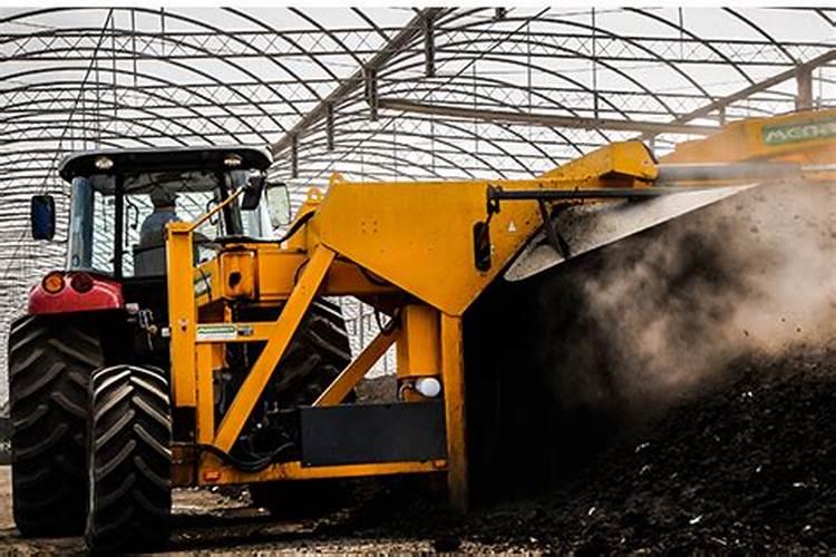 兰花怎么养 龙根苗兰花养法