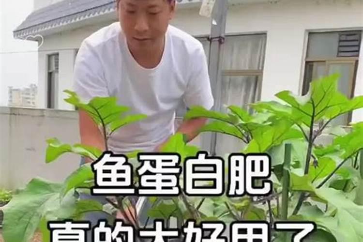 种菜需要施肥那么用什么肥料会比较好呢