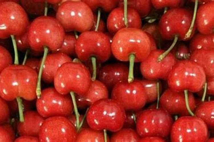 农用防裂果用什么钙最好