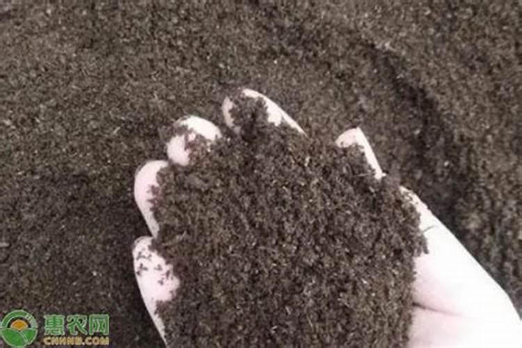 猪油能给茶花树做肥料吗？