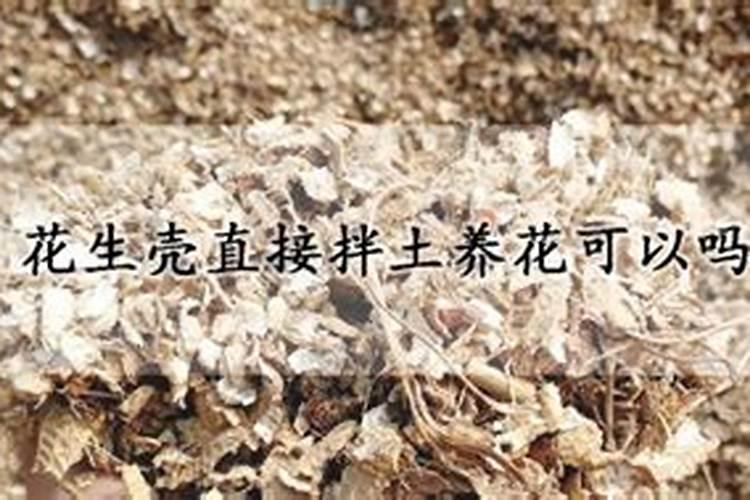 花生壳怎么发酵做营养土,花生壳如何做肥料