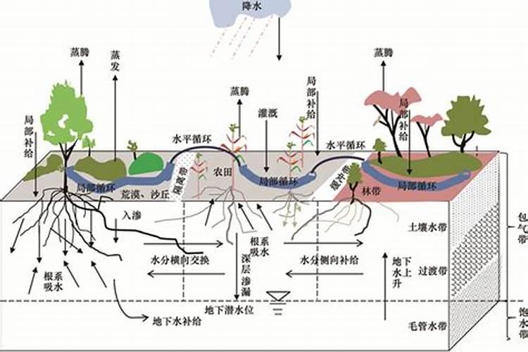 土壤的水肥气热分别是啥