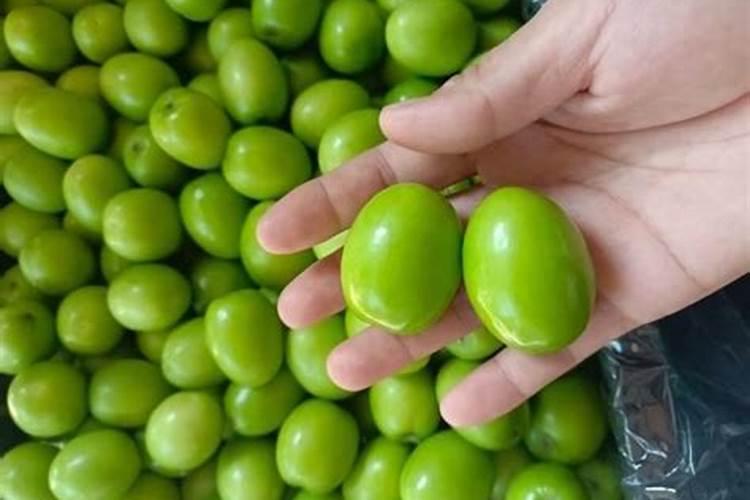 冬枣快要成熟时里烂是什么原因,打什么药