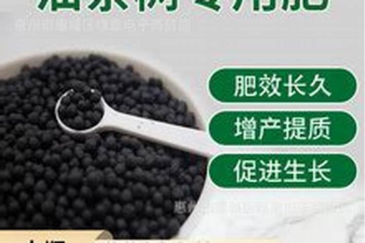 黄瓜什么时候用高钾肥料 怎么施肥提高产量