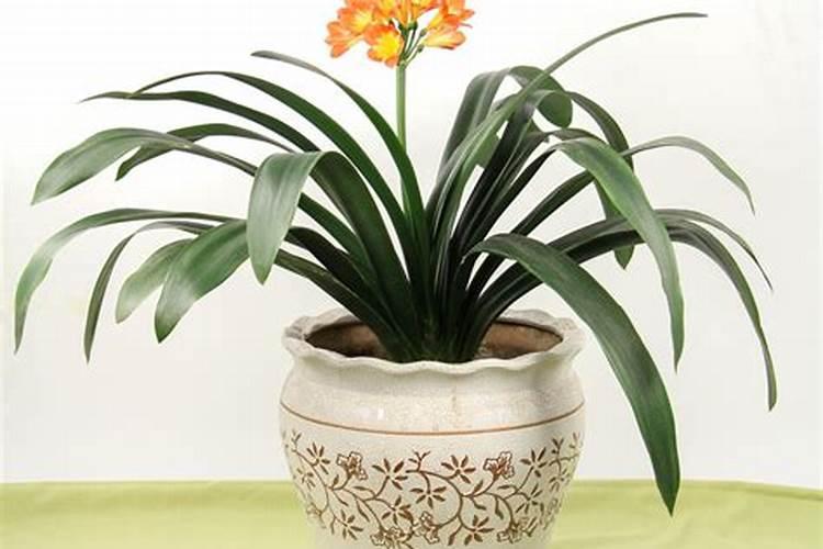 农资店应该如何取名？