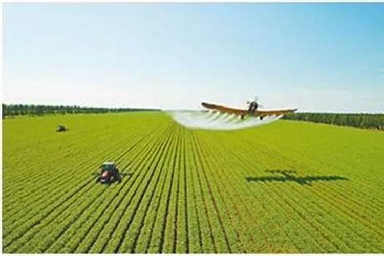 莲藕专用肥氮磷钾怎配方