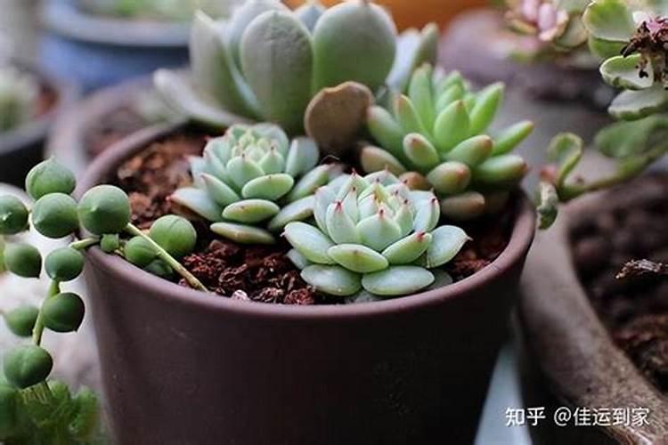 阴雨天施肥有哪些注意事项？应该要施肥吗？