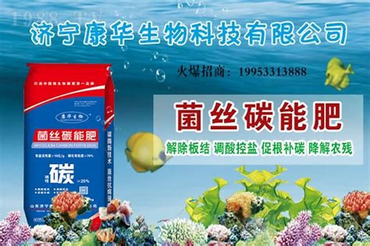 农业上碳氮比怎样能壮苗