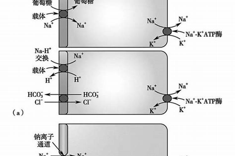 九年级化学模拟试题