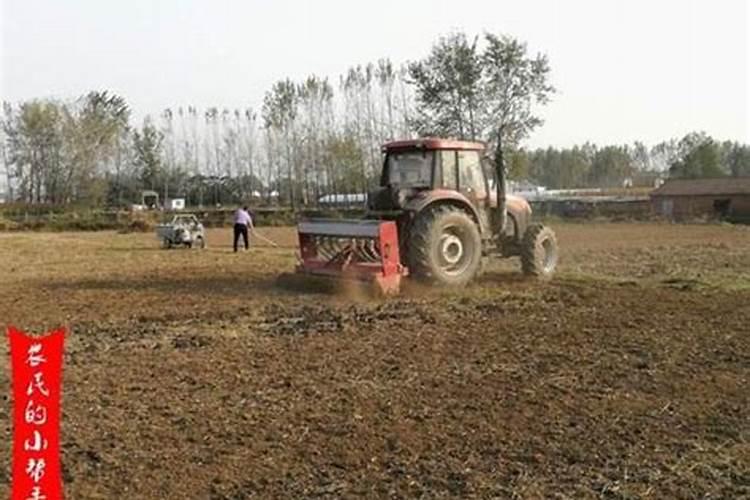 钾肥一亩地上多少