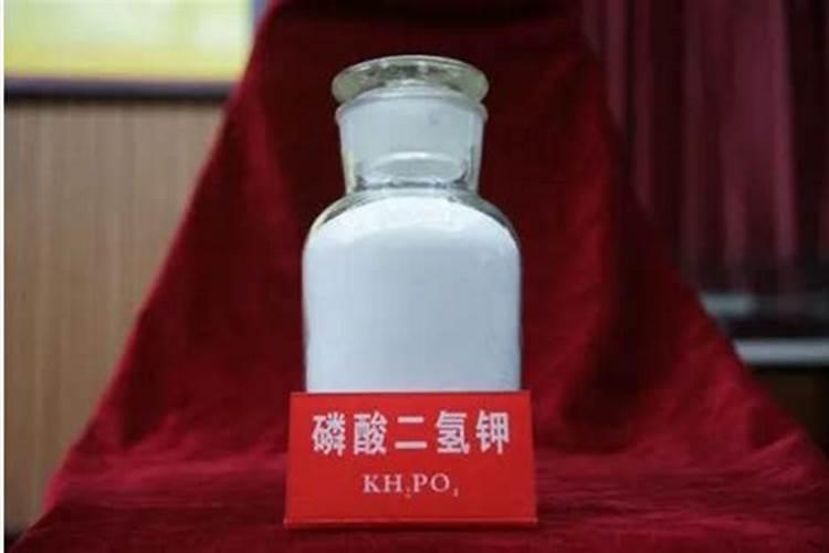 秋季果树施什么肥好 秋季果树施肥技巧