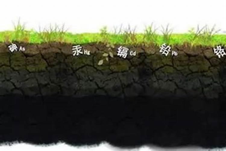 水溶肥的三大害处