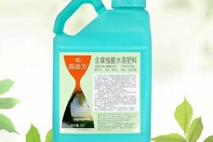 黄瓜开花坐果期施肥用什么能增收