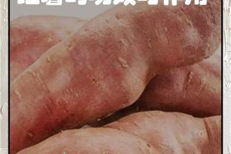 红薯用什么肥料会高产