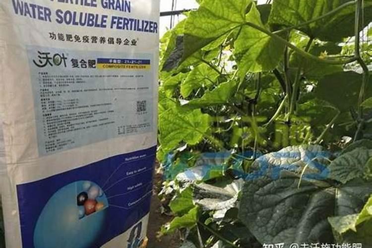 水溶肥是什么肥料 水溶性肥料的优缺点有哪些