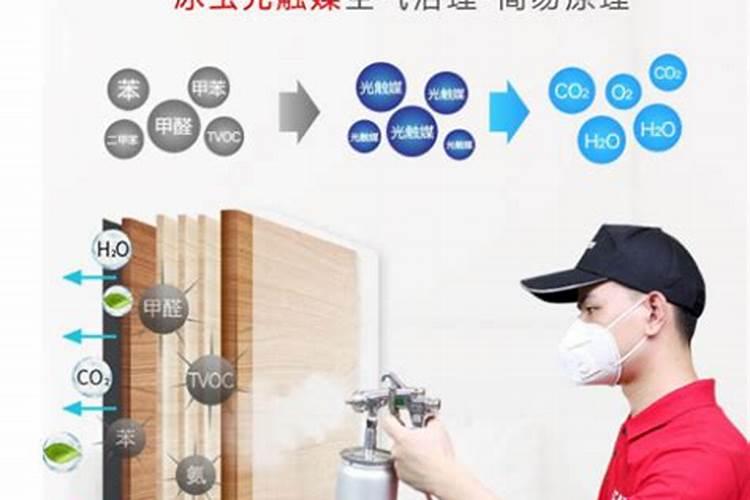 虎皮兰吸甲醛效果好吗