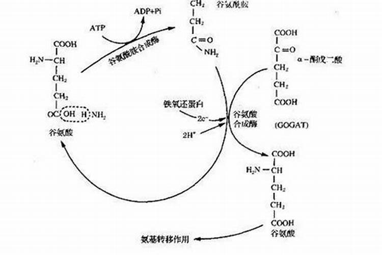 各种氮肥的生产原理,方程式