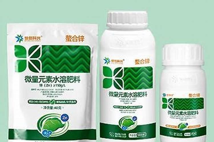 橙子施肥时间和方法