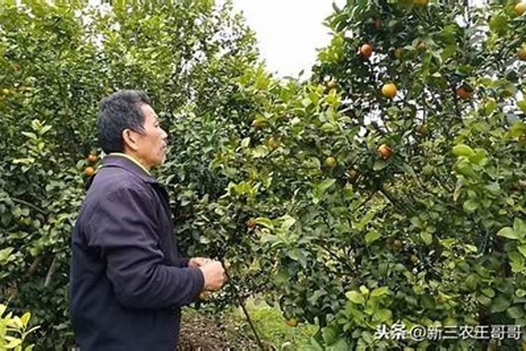 诺罗敦·西哈努克对美国方面所推行的政策是什么？