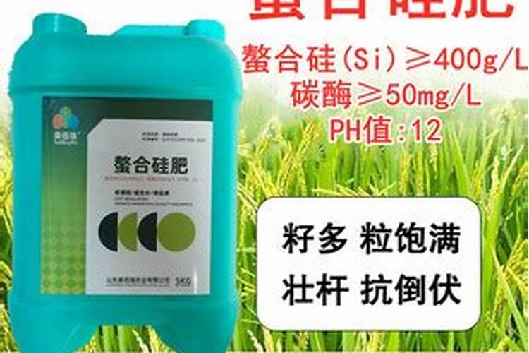水稻扬花期用什么叶面肥